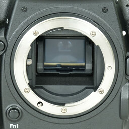 Nikon D500 Nikon D500