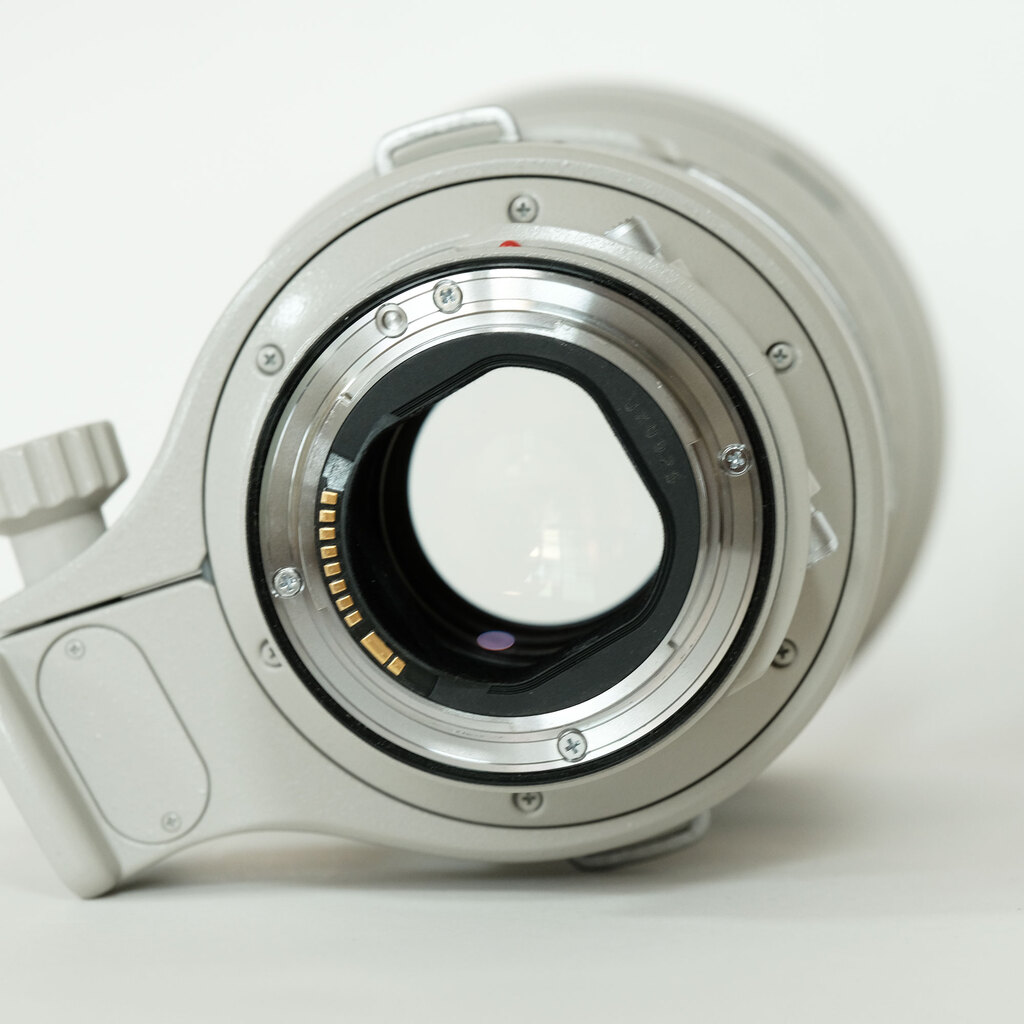 Canon EF300mm F2.8L IS USMの出品 | ONE SCENE（ワンシーン）