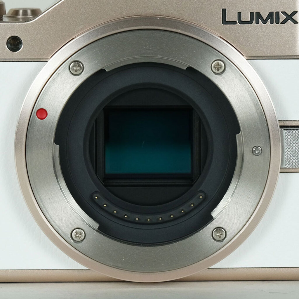 Panasonic LUMIX DC-GF10 ボディ ホワイトの出品 | ONE SCENE（ワン