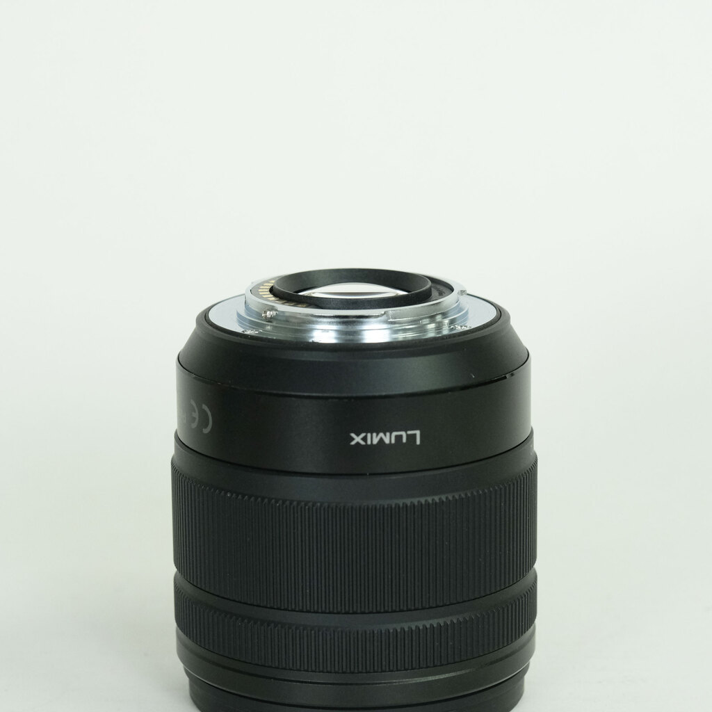 Panasonic LUMIX G VARIO 12-60mm / F3.5-5.6 ASPH. / POWER O.I.S.