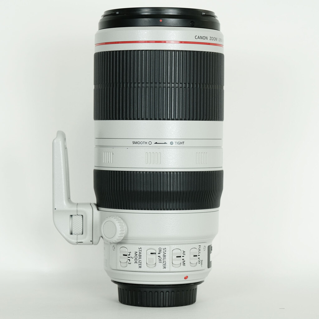 Canon EF100-400mm F4.5-5.6L IS II USM
