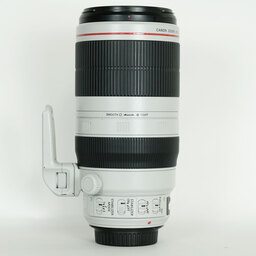 Canon EF100-400mm F4.5-5.6L IS II USM
