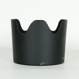 Nikon AF-S VR Zoom-Nikkor 70-300mm F4.5-5.6G IF-ED