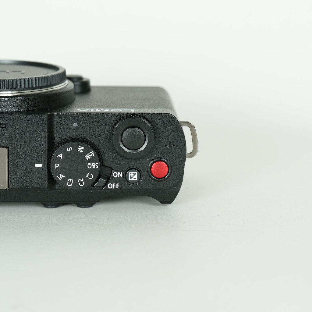 Panasonic LUMIX DC-S9