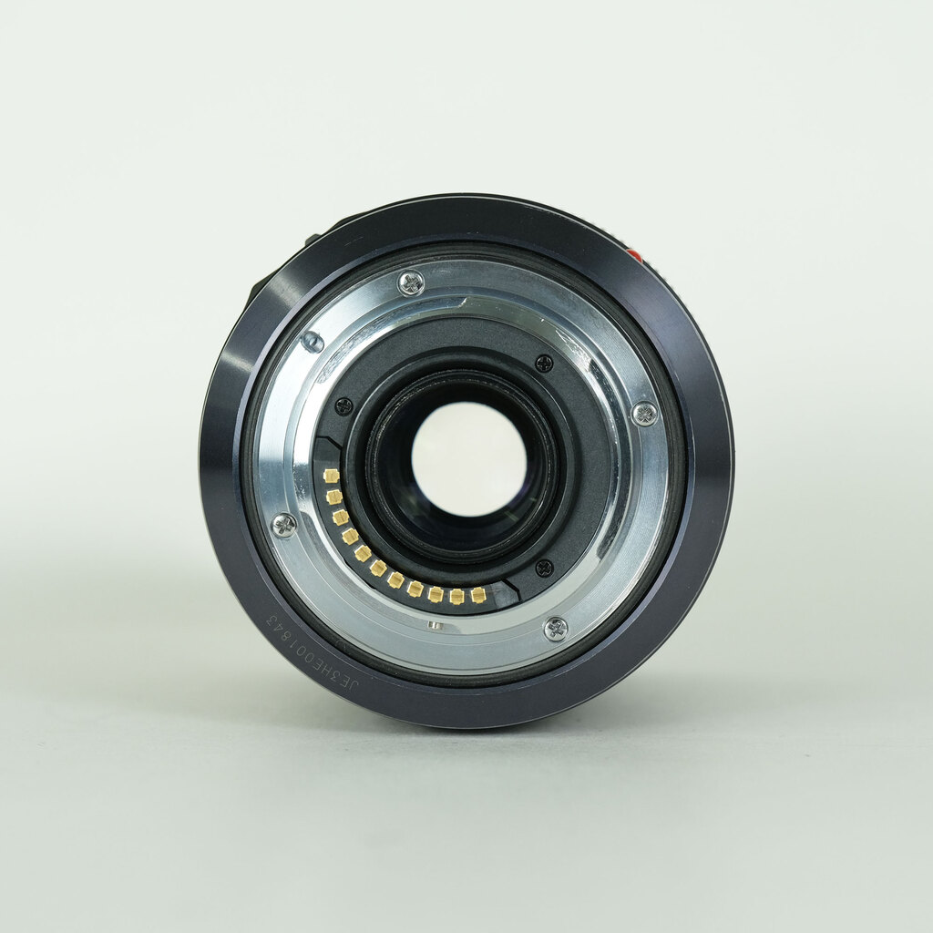 Panasonic LUMIX G X VARIO 35-100mm F2.8 POWER O.I.S. H-HS35100