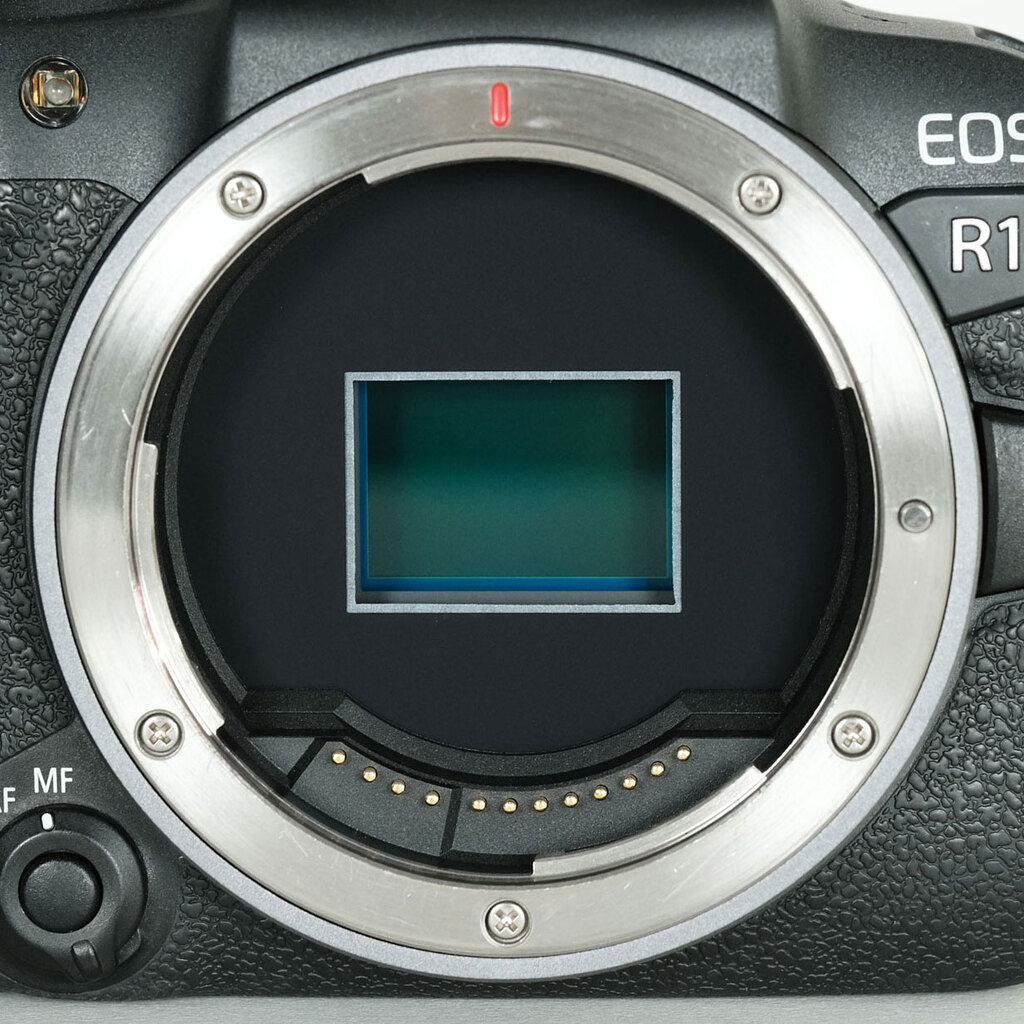 Canon EOS R10 Canon EOS R10