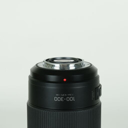 Panasonic LUMIX G VARIO 100-300mm / F4.0-5.6 II / POWER O.I.S.