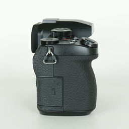 Panasonic LUMIX G99M2（G99 II）