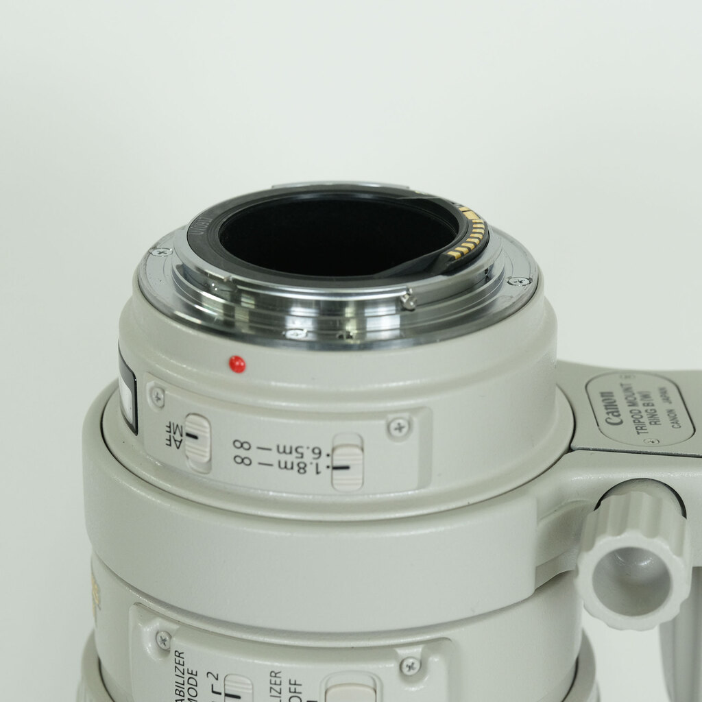 Canon EF100-400mm F4.5-5.6L IS USM