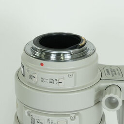 Canon EF100-400mm F4.5-5.6L IS USM