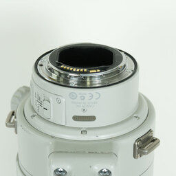 Canon EF300mm F2.8L IS II USM