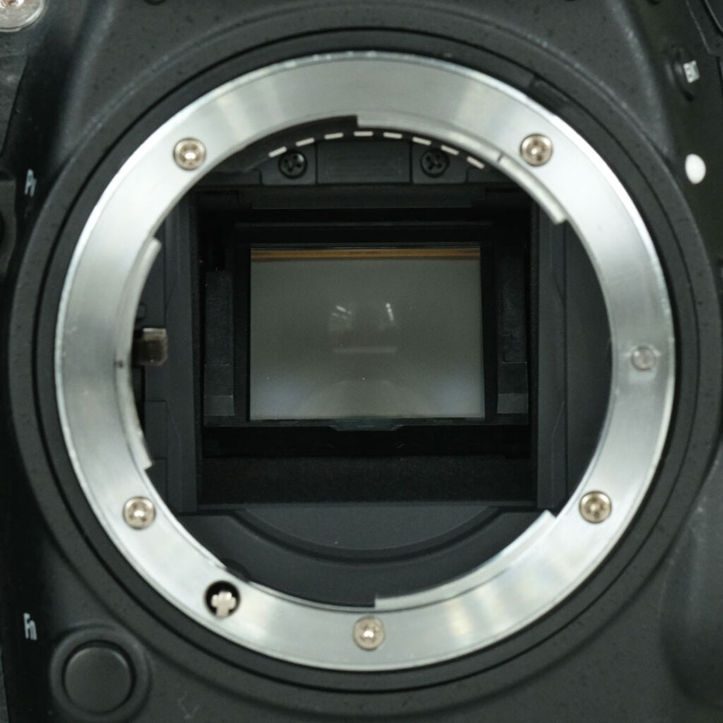 Nikon D7100