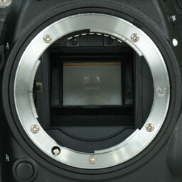 Nikon D7100