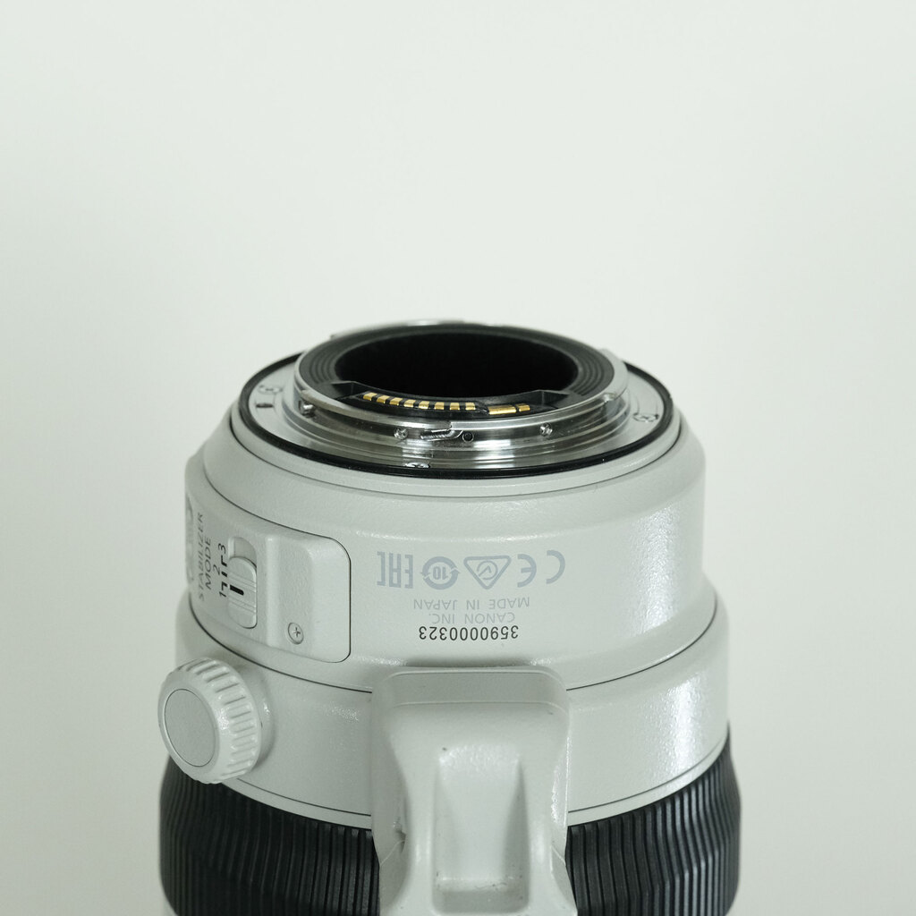 Canon EF100-400mm F4.5-5.6L IS II USM