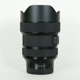 SIGMA 14-24mm F2.8 DG DN｜Art [ソニーE用]