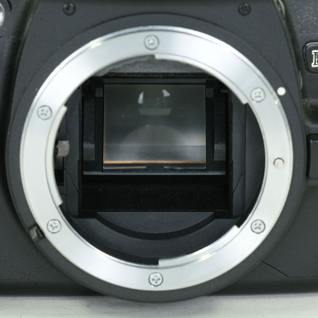 Nikon D40 ブラックボディ