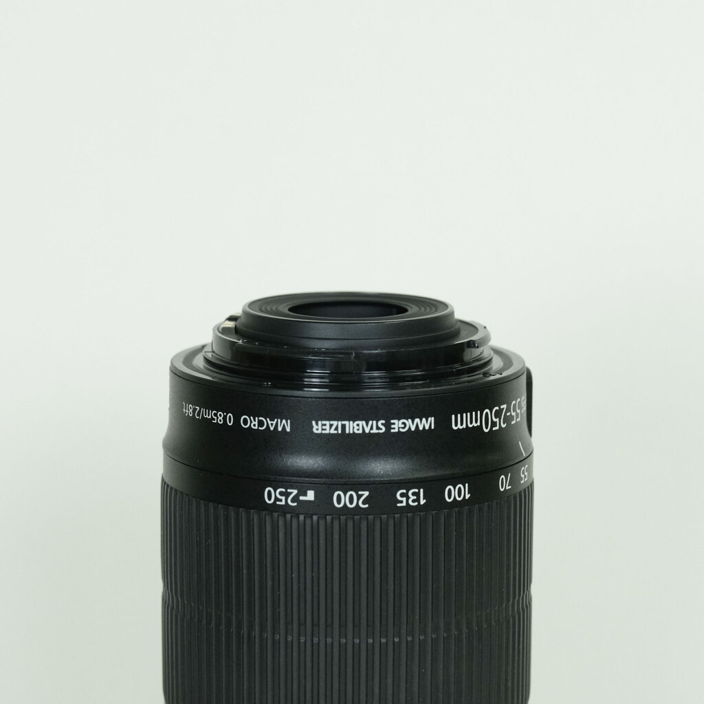 Canon EF-S55-250mm F4-5.6 IS STM