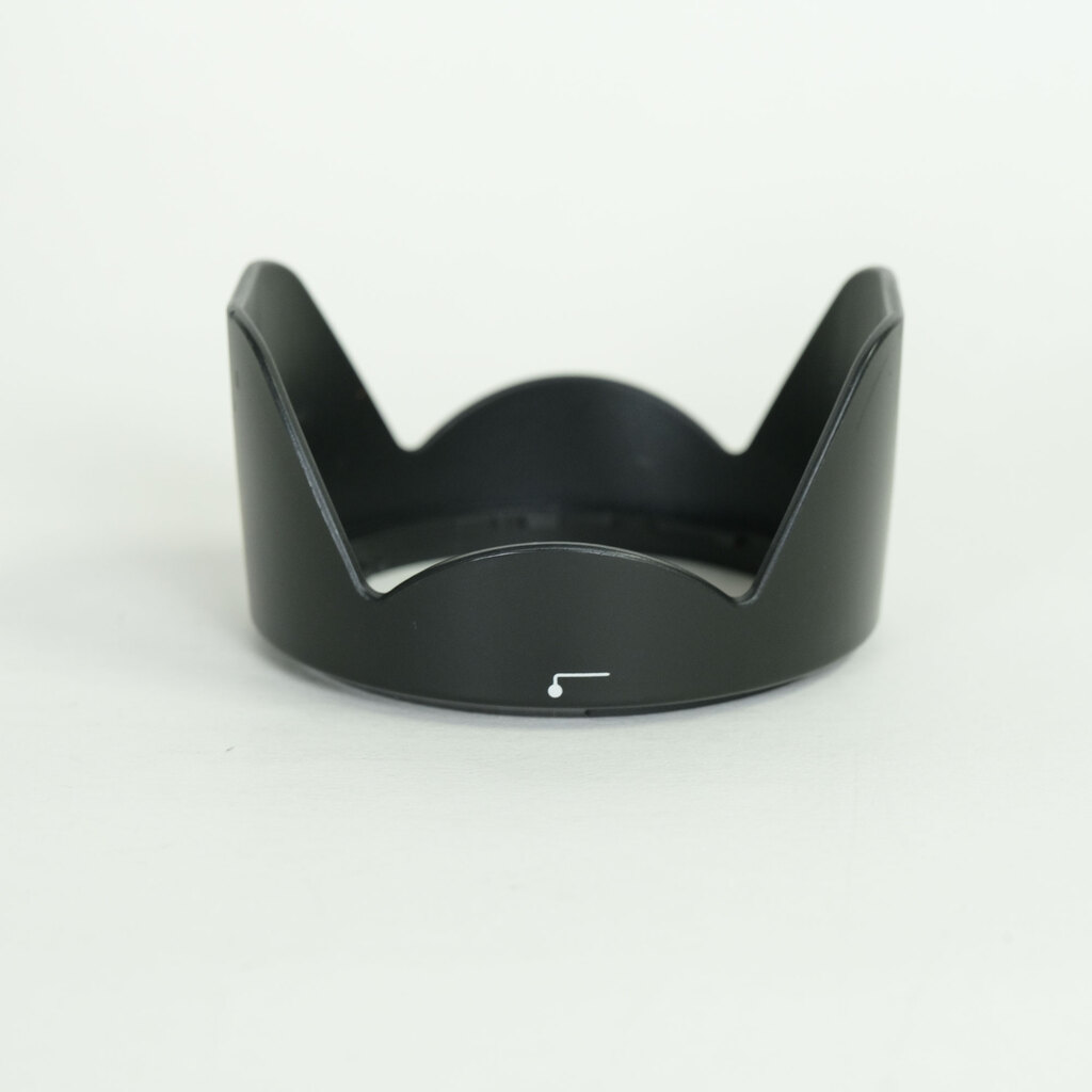 Nikon AF-P DX NIKKOR 18-55mm F3.5-5.6G VR