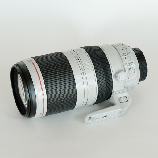 Canon EF100-400mm F4.5-5.6L IS II USM