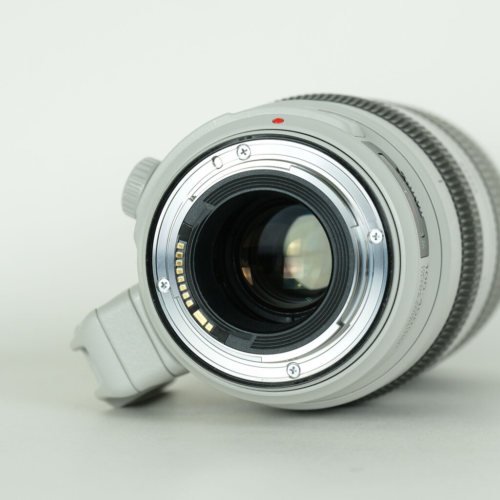 Canon EF100-400mm F4.5-5.6L IS II USM