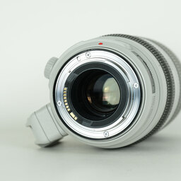 Canon EF100-400mm F4.5-5.6L IS II USM