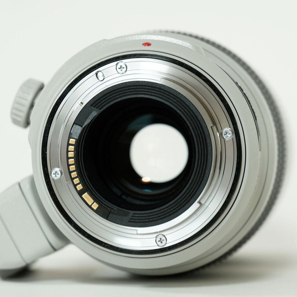 Canon EF100-400mm F4.5-5.6L IS II USM