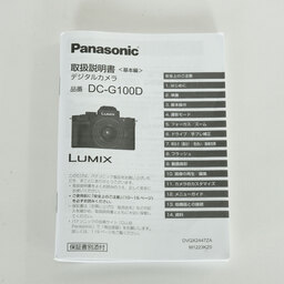 Panasonic LUMIX DC-G100