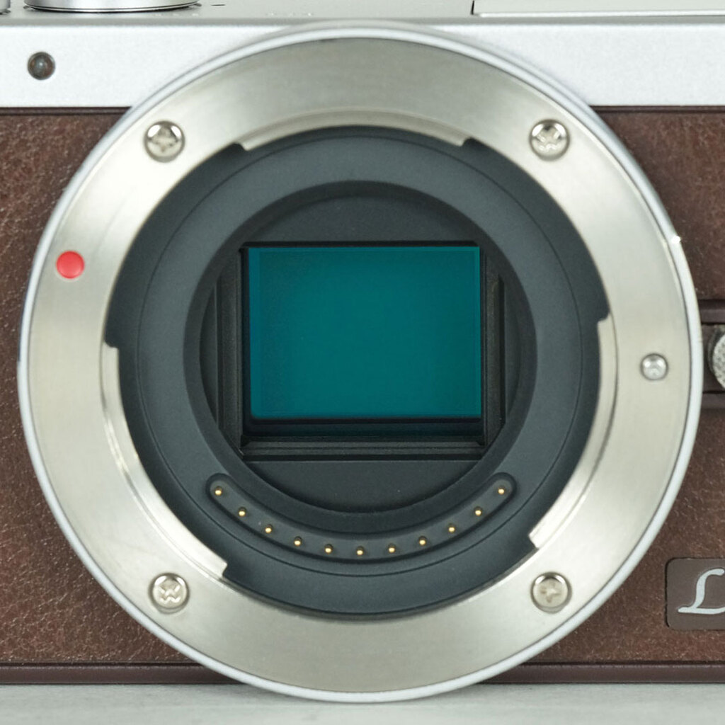 Panasonic LUMIX DMC-GM1S ブラウン