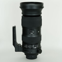 SIGMA 60-600mm F4.5-6.3 DG OS HSM｜Sports [ニコンF用]