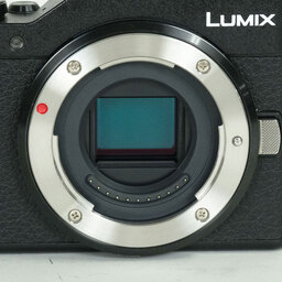Panasonic DC-GF10