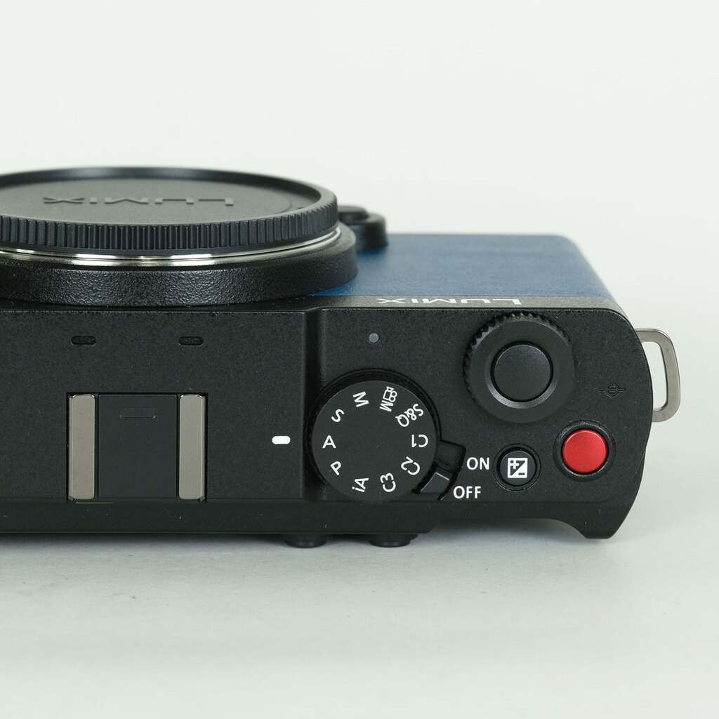 Panasonic LUMIX DC-S9