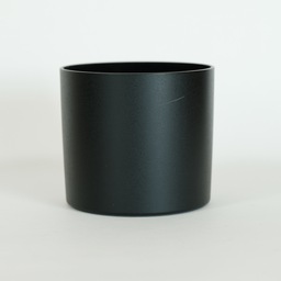 Canon EF100mm F2.8Lマクロ IS USM