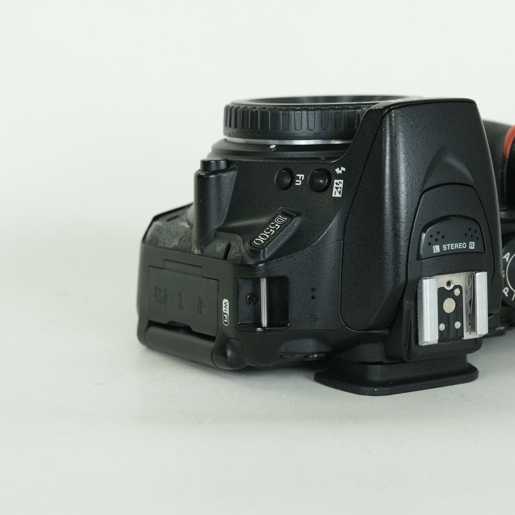 Nikon D5500