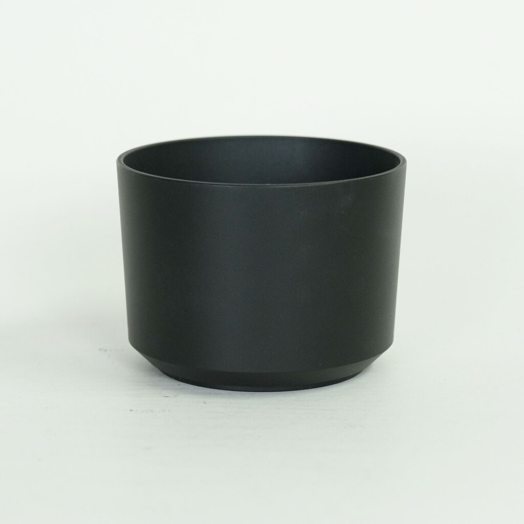 SONY E 55-210mm F4.5-6.3 OSS SEL55210