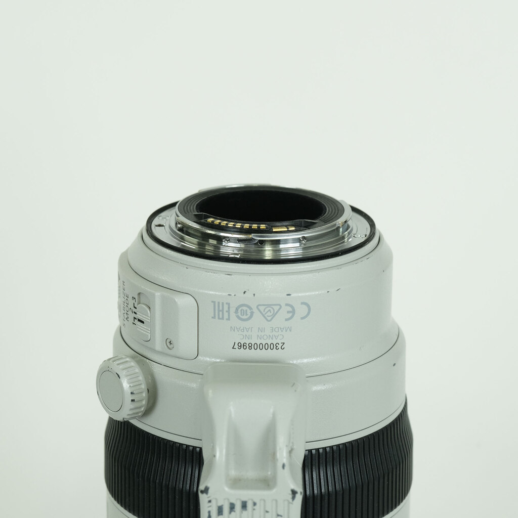 Canon EF100-400mm F4.5-5.6L IS II USM