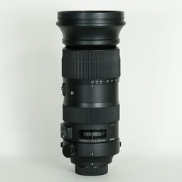 SIGMA 60-600mm F4.5-6.3 DG OS HSM｜Sports [ニコンF用]