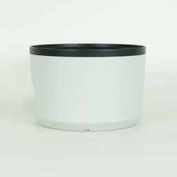 Canon RF100-500mm F4.5-7.1L IS USM