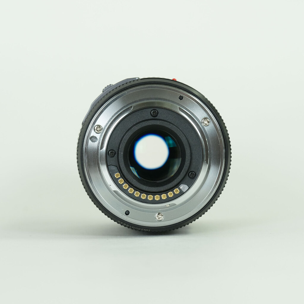 Panasonic LUMIX G X VARIO PZ 45-175mm / F4.0-5.6 ASPH. / POWER O.I.S.