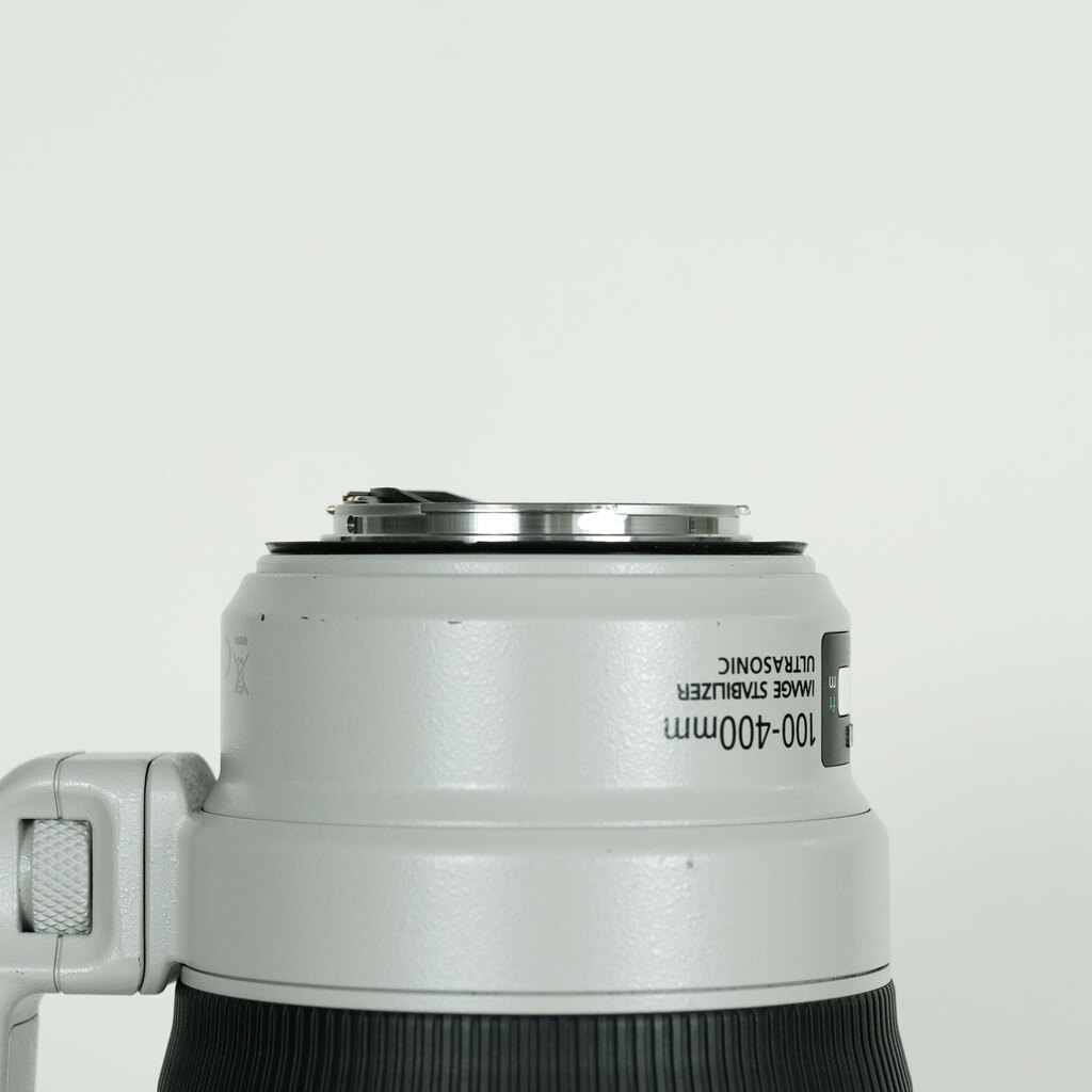 Canon EF100-400mm F4.5-5.6L IS II USM
