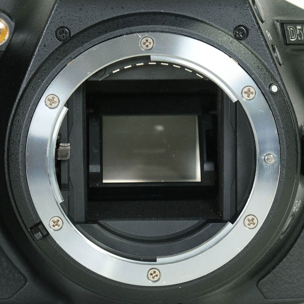 Nikon D5600
