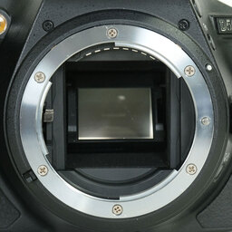 Nikon D5600