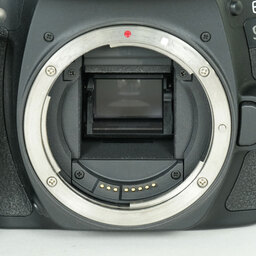 Canon EOS 90D
