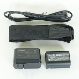 Panasonic LUMIX S5IIX ボディ DC-S5M2X ブラック