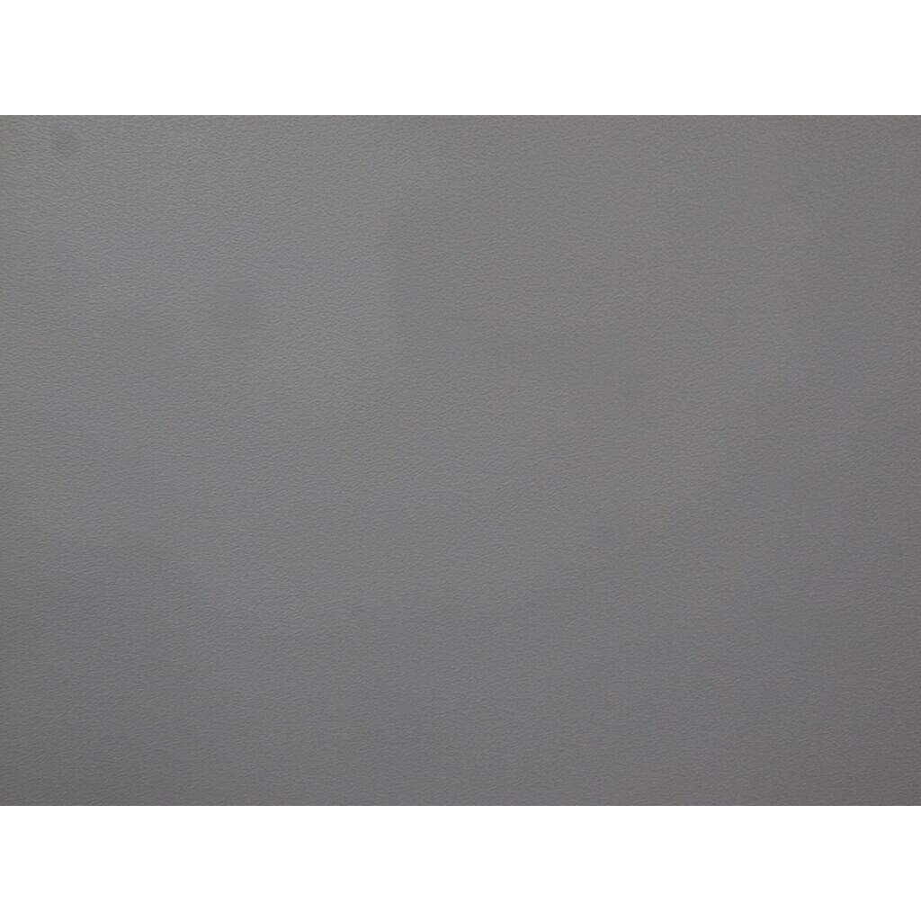 RICOH GR DIGITAL IV ホワイトエディション