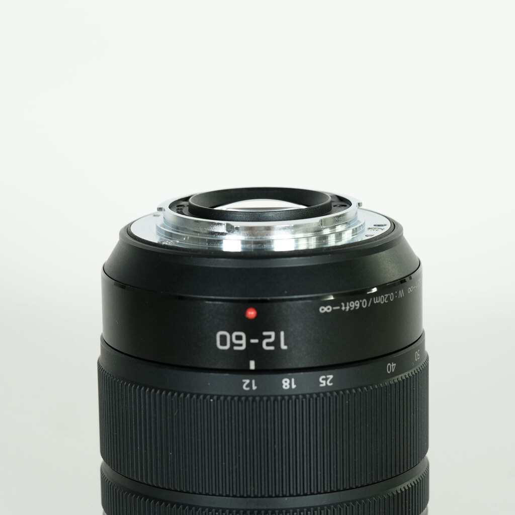 Panasonic LUMIX G VARIO 12-60mm / F3.5-5.6 ASPH. / POWER O.I.S.