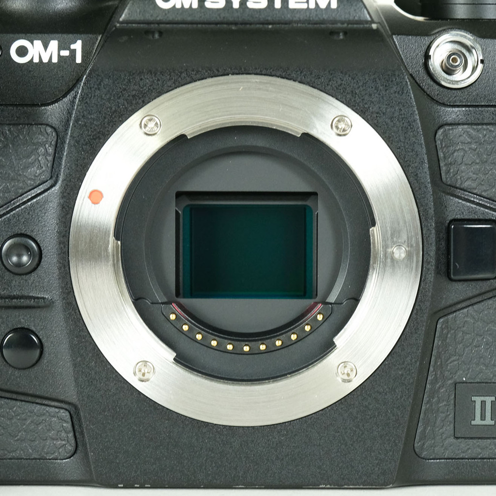 OM SYSTEM OM-1 Mark II