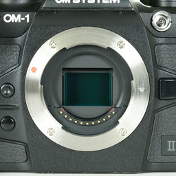 OM SYSTEM OM-1 Mark II