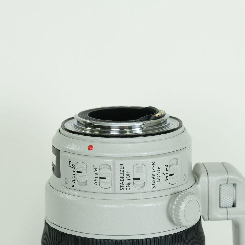 Canon EF100-400mm F4.5-5.6L IS II USM