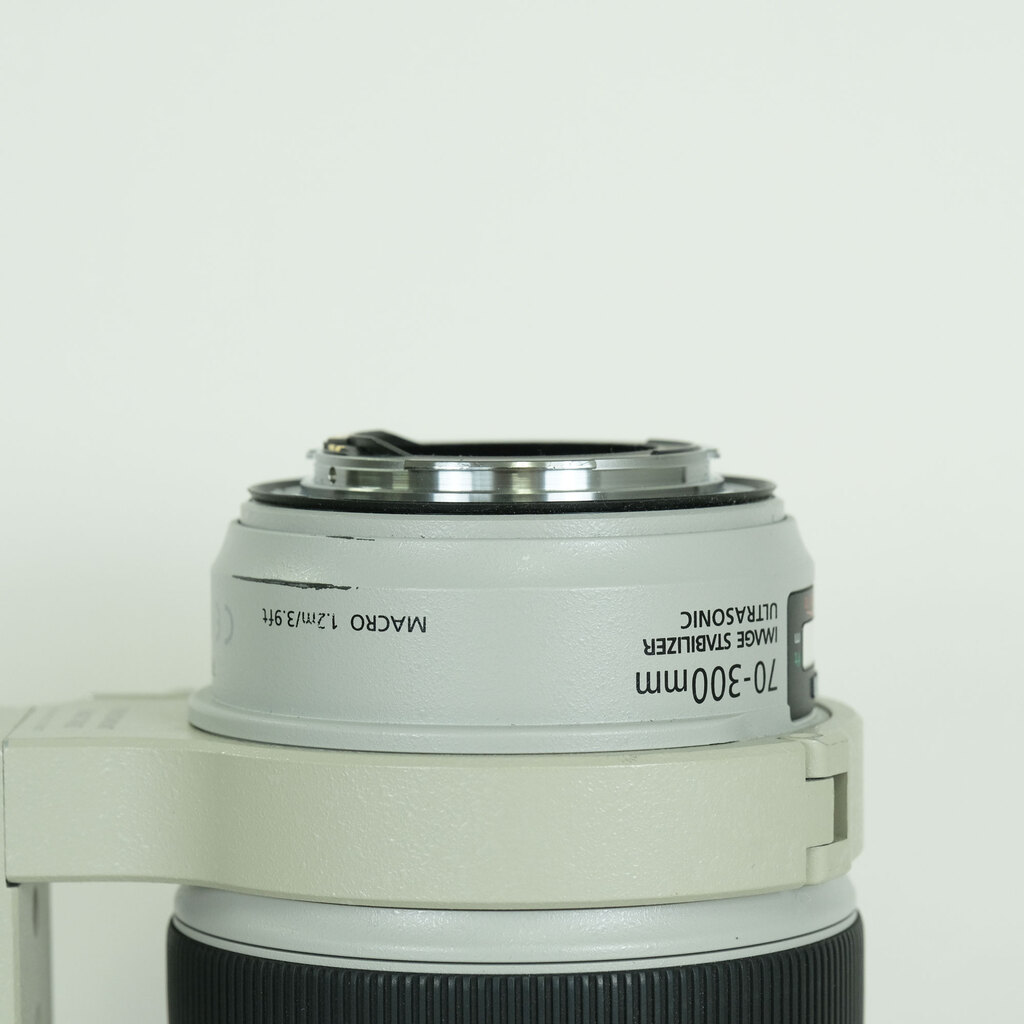 Canon EF70-300mm F4-5.6L IS USM