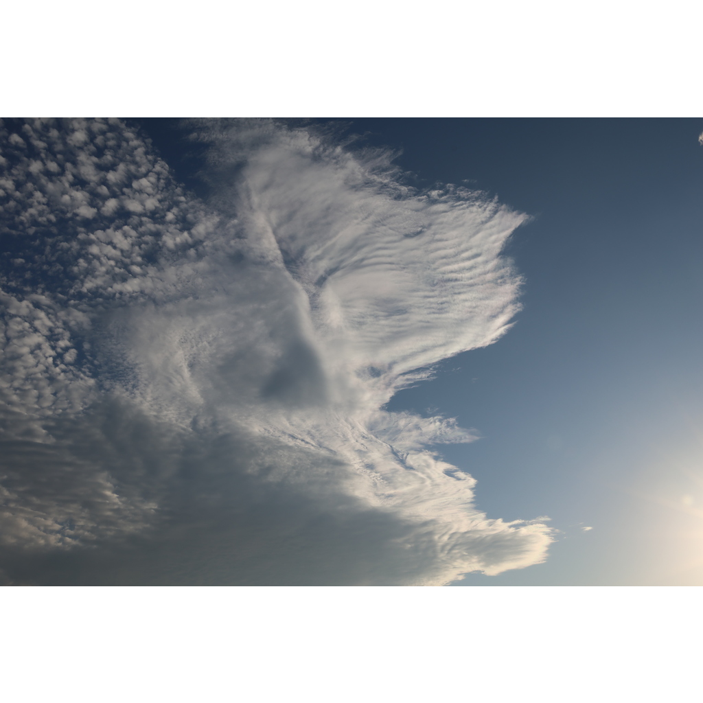 Canon RF24-105mm F4 L IS USM